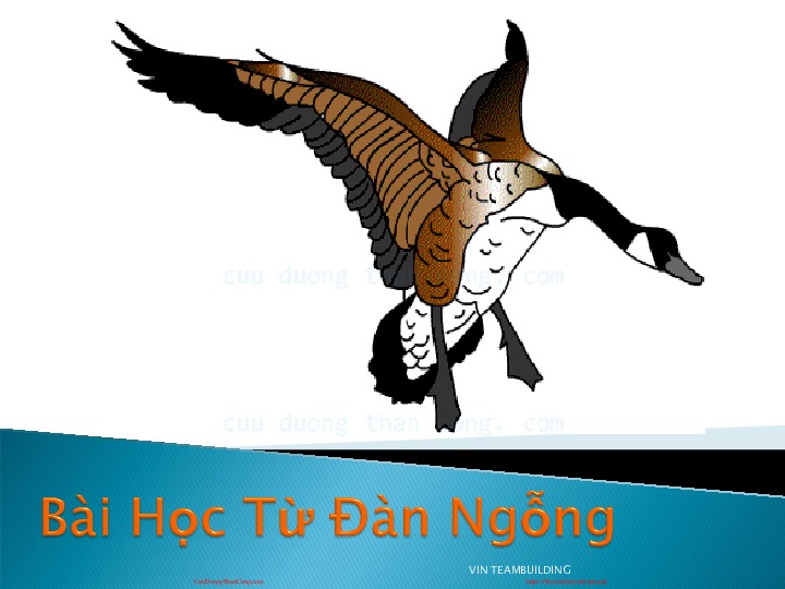 5.2. bai hgc tk loai ngqng.pdf-Thư viện tài liệu, giáo trình, bài giảng, bài tập lớn, đề thi online  môn học Kỹ Năng Mềm  tác giả Cao Thị Thùy Liên  ĐH Khoa Học Tự Nhiên HCM