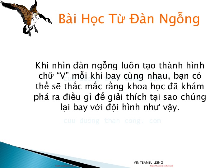 5.2. bai hgc tk loai ngqng.pdf-Thư viện tài liệu, giáo trình, bài giảng, bài tập lớn, đề thi online  môn học Kỹ Năng Mềm  tác giả Cao Thị Thùy Liên  ĐH Khoa Học Tự Nhiên HCM-1