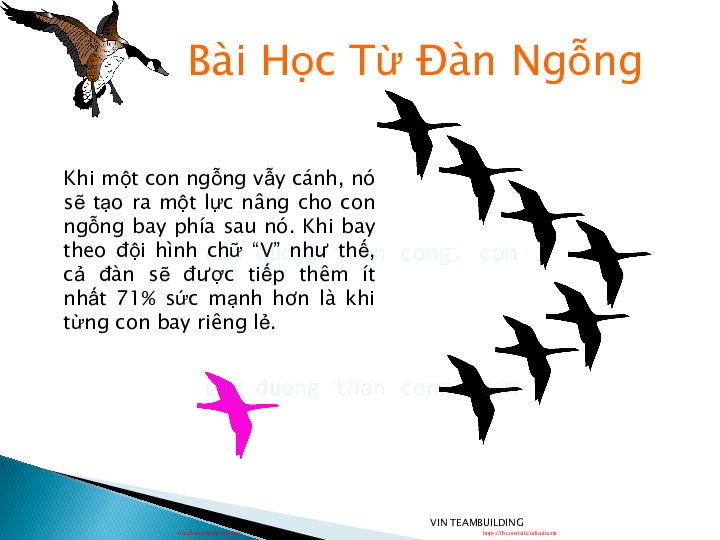 5.2. bai hgc tk loai ngqng.pdf-Thư viện tài liệu, giáo trình, bài giảng, bài tập lớn, đề thi online  môn học Kỹ Năng Mềm  tác giả Cao Thị Thùy Liên  ĐH Khoa Học Tự Nhiên HCM-2