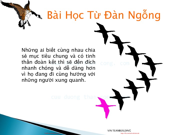 5.2. bai hgc tk loai ngqng.pdf-Thư viện tài liệu, giáo trình, bài giảng, bài tập lớn, đề thi online  môn học Kỹ Năng Mềm  tác giả Cao Thị Thùy Liên  ĐH Khoa Học Tự Nhiên HCM-3